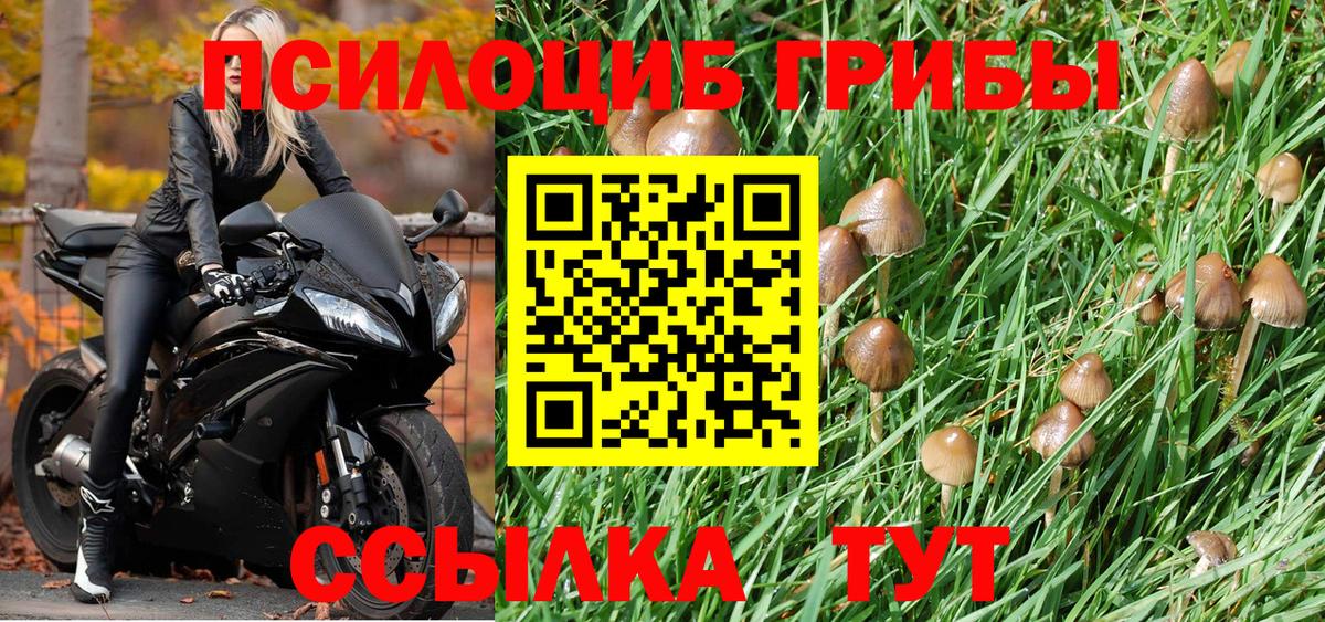 Псилоцибиновые грибы Cubensis  Псилоцибиновые грибы Psilocybe  Красноперекопск  Вход с VPN 